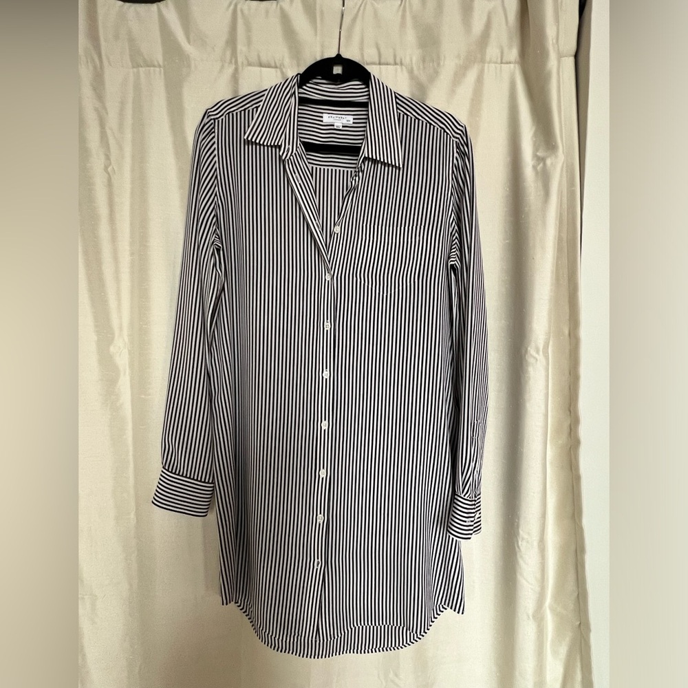 Equipment silk shirt dress